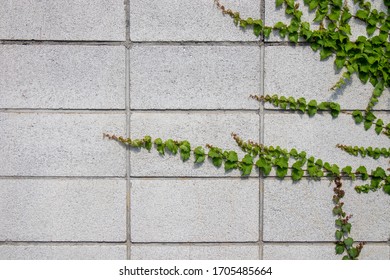 366,260 White concrete block wall Images, Stock Photos & Vectors ...