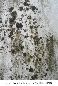 Old White Wall With Mold Texture