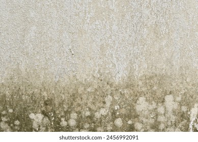 The old white wall pattern has water stains and soil stains.