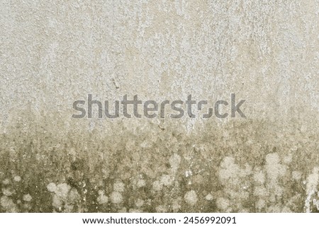 The old white wall pattern has water stains and soil stains.