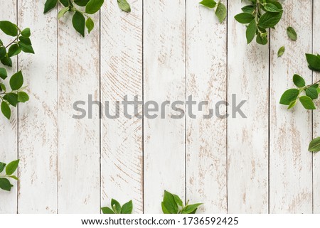 Old white wooden background with green leaves, top view, copy space. Spring twigs on shabby background, frame, flat lay.