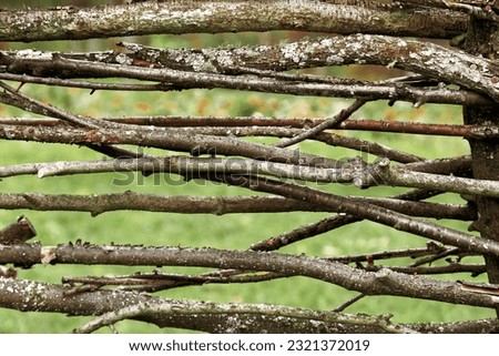 Old wicker fence covered mosh, woven wooden branches on green blurred background. Natural pattern from braided birch branches, rural countryside craft handmade fence, abstract nature striped texture