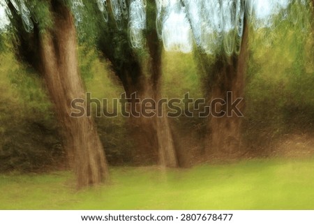 Old willows photographed using the intentional camera movement technique, giving the appearance of an impressionist painting, pastels