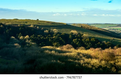 Old Winchester Hill, Hampshire UK