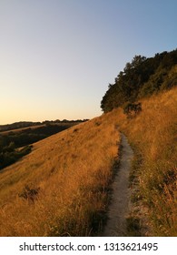 Old Winchester Hill, South Downs, Hampshire 