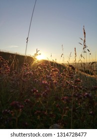 Old Winchester Hill, South Downs, England 