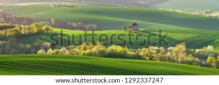 Similar – Image, Stock Photo Rapeseed landscape in Moravia, Czech Republic