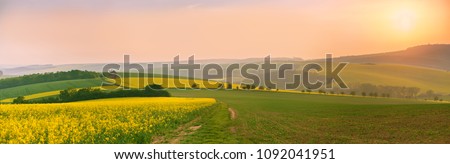 Similar – Image, Stock Photo Rapeseed landscape in Moravia, Czech Republic