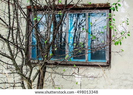 Similar – Tomaten am Fenster