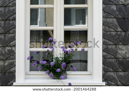 Similar – UT Only floating is more beautiful I Cozy flower window