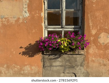 Old Window and Rustic Façade with Blooming Window Box on Weathered Orange Wall - suitable for travel, home exterior, gardening, rustic design, background, and traditional building concepts.
