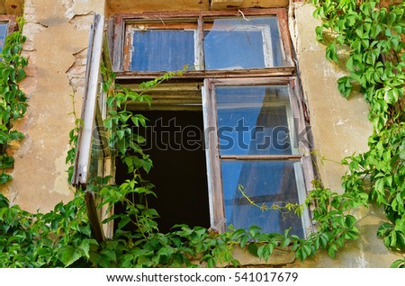 Similar – Wilder Wein an einem verlassenen Gebäude mit geschlossenem Fenster und Satellitenschüssel