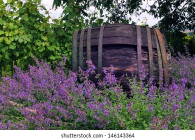 Old Wine Barrel