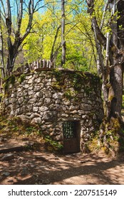 Old Wolf Trap In The Forest. 