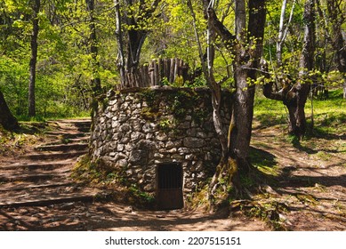 Old Wolf Trap In The Forest. 