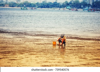 Old Woman Collecting Shells On Beach.