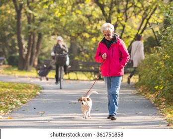 Old Woman With A Dog In Autumn Park
