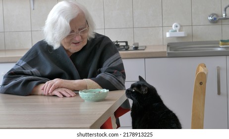 Old Woman Is Giving Food For Her Cat