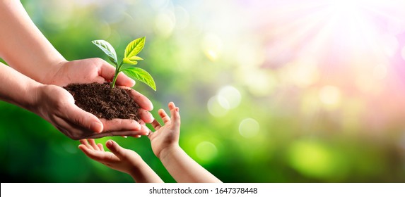 Old Woman Giving Young Plant To A Child - New Life To New Generation
