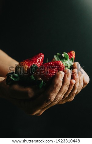 Woman holds strawberries in her hands