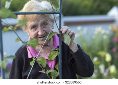 An old woman in his garden, closeup portrait.