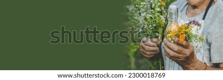 Similar – Woman making wild flowers at home in vase