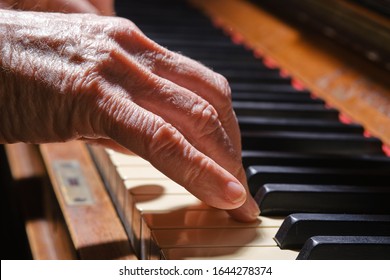 Old Woman Playing The Old Piano. Selective Focus. Silhouette Of Old Fingers On The Piano Keyboard. 