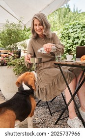 Old Woman Pouring Water At The Dog Bowl For Her Beagle