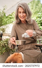 Old Woman Pouring Water At The Dog Bowl For Her Beagle