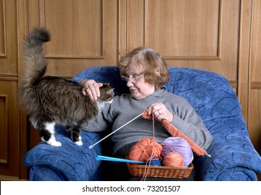The old woman sits in an armchair and stroke a cat
