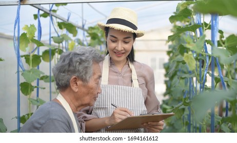 An Old Woman Is Teaching Gardening To Young Women In The Garden.