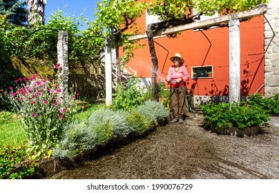 Old Woman Watering Plants With Hosepipe And Straw Hat