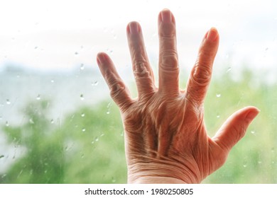 The old woman's hand touched the window with rain