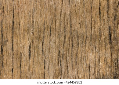 Mold Wood Texture Images Stock Photos Vectors Shutterstock