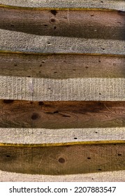 Old Wood Boards With Long Shadows Used As Shed Siding.