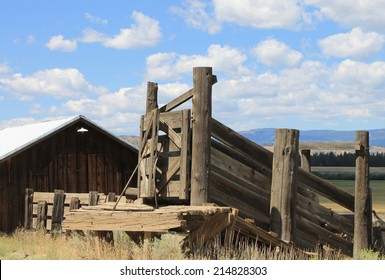 Old Wood Cattle Chute