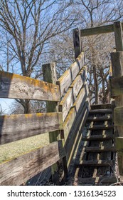 Old Wood Cattle Chute With Steps