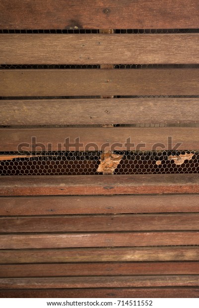 Old Wood Ceiling Termites Damage Termite Stock Photo Edit