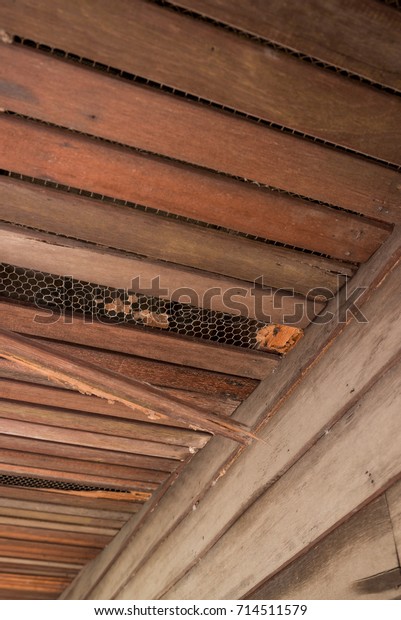 Old Wood Ceiling Termites Damage Termite Stock Photo Edit