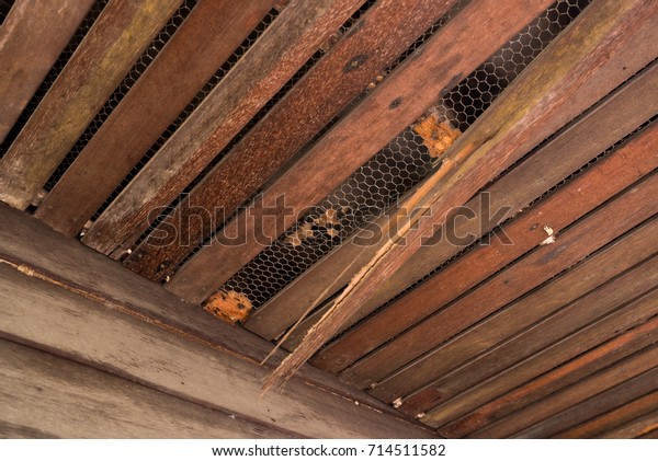 Old Wood Ceiling Termites Damage Termite Stock Photo Edit