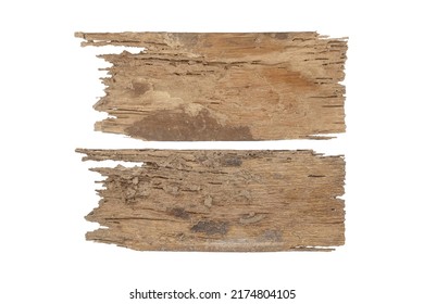 Old Wood, Decay Isolated On White Background With Clipping Path Include For Design Usage Purpose.