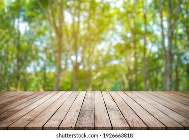Old wood plank with abstract rubber plantation blurred background for product display