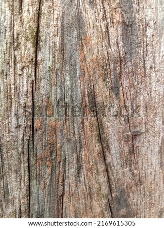 Old wood pole surface.Abstract background.