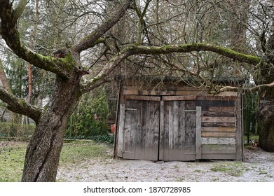 Old Wood Shed In An Autumn Garden Among Trees Without Leaves