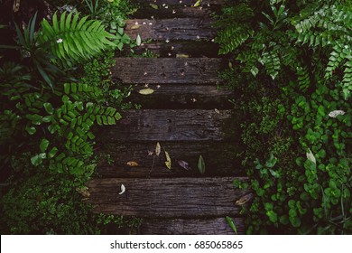 Old Wood Steps At A Footpath In A Forest From Top View.