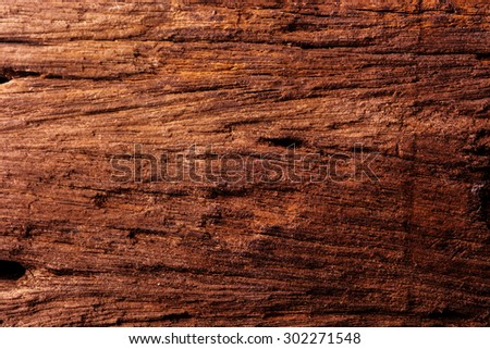 Old wood texture for background 