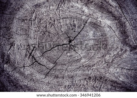 Similar – Image, Stock Photo Horror texture Deserted