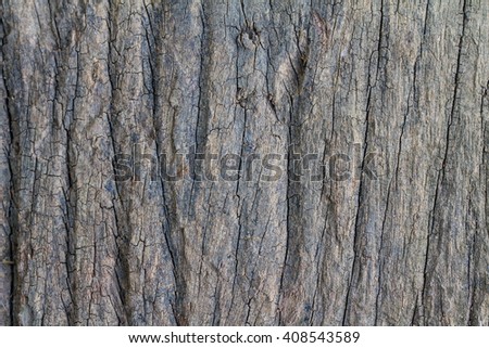 Old wood texture for background