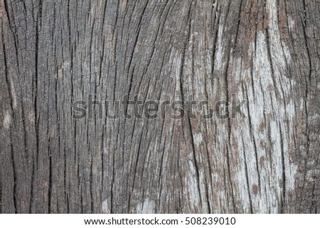 Old wood texture for background