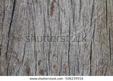 Old wood texture for background